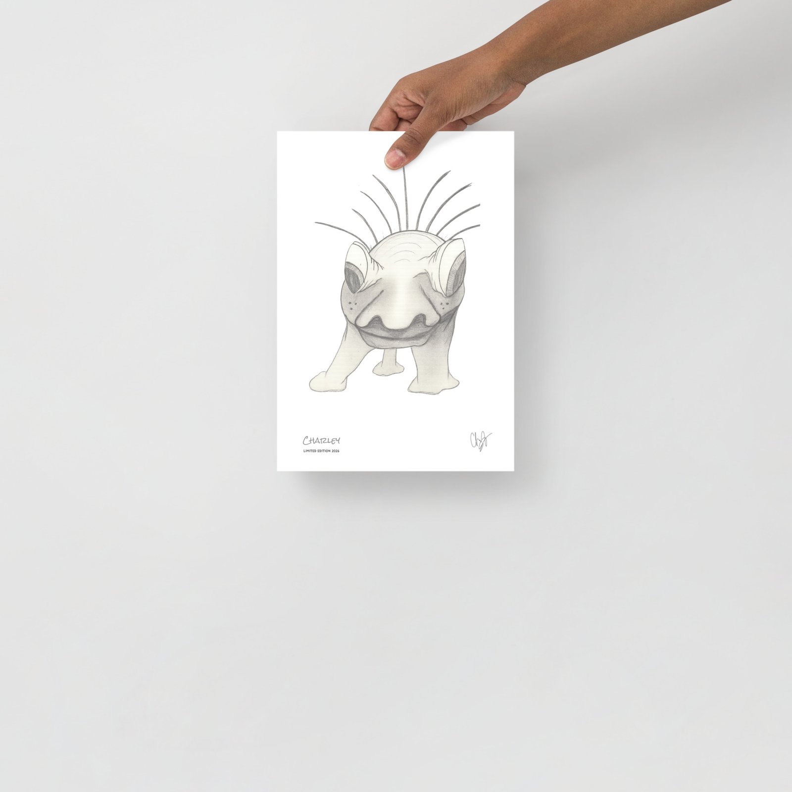 Charley Limited Edition Print - immagine 6