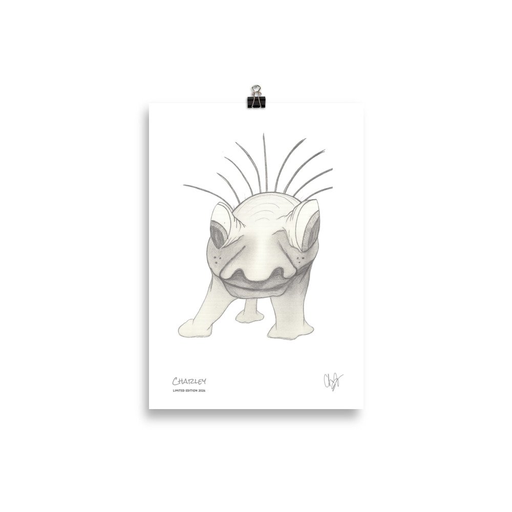 Charley Limited Edition Print - immagine 5
